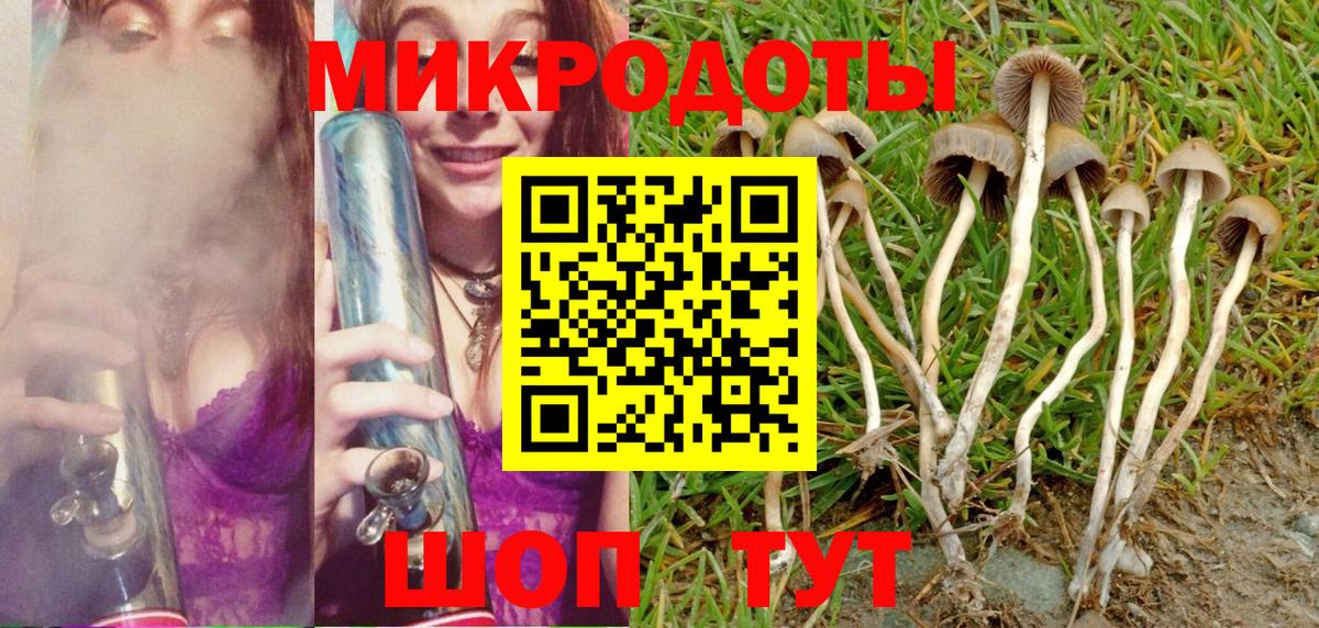 купить   Галлюциногенные грибы Psilocybe  Вход с VPN  Псилоцибиновые грибы Psilocybe  Ржев 